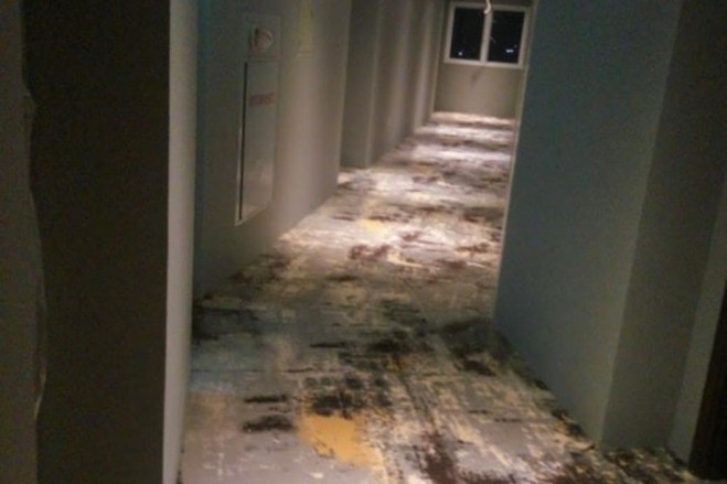Picture10